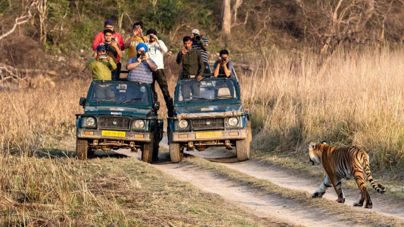 Jim Corbett